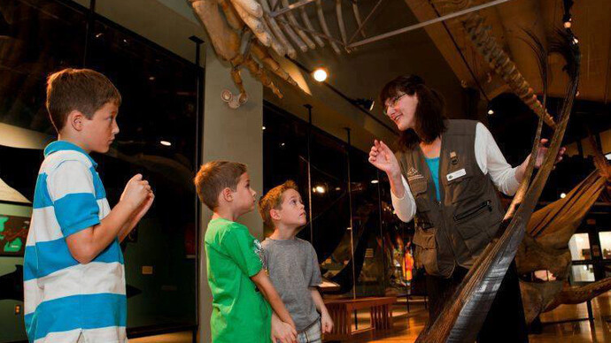 Hall of Great Whales. Courtesy of New Brunswick Museum
