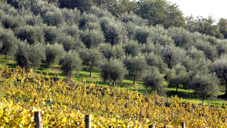 Castello delle Regine