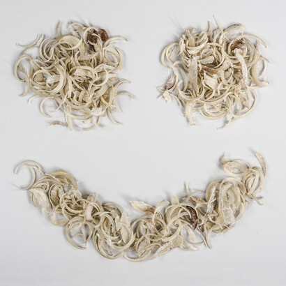 Piotr Bujak. Courtesy of Wroclaw Contemporary Museum