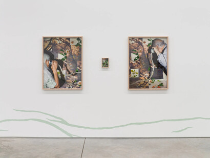 Sheida Soleimani, Flyways, exhibition view. Courtesy of Harlan Levey Projects