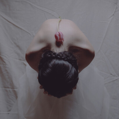 Photo by Annaophotography  