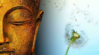 Gautama Buddha and the nature