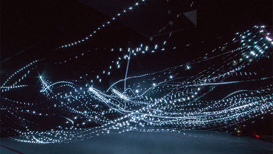 All Possible Paths. Courtesy of ArtScience Museum