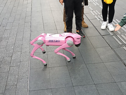 A robotic dog rental demo held in February 2025 in Huaqiang North, Futian District, Shenzhen, China