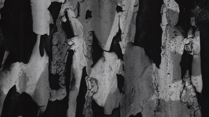 Aaron Siskind. Courtesy of Galerie Julian Sander 