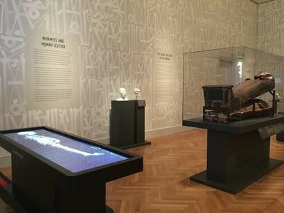 Mummies and Medicine, Exhibition view. Courtesy of Legion of Honor