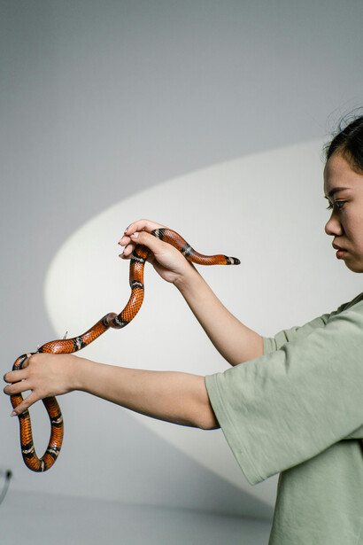 A woman facing her fear of snakes — representing courage, growth, and the human capacity to change despite fear