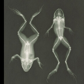 Light and Canvas. Courtesy of GNM