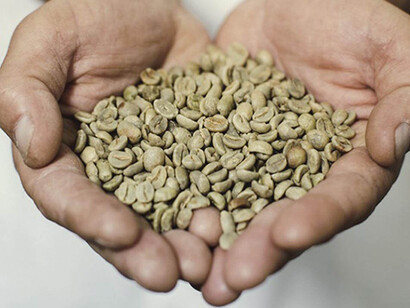 Un'alternativa salutare al caffè tradizionale tostato