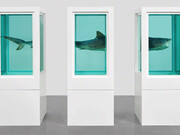 Damien Hirst. Courtesy of Gagosian