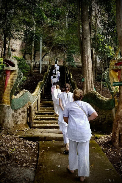 Walking meditation, addentrandosi nella foresta