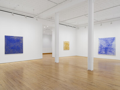 Vicky Colombet, Memory of the surface, exhibition view. Courtesy of James Cohan Gallery