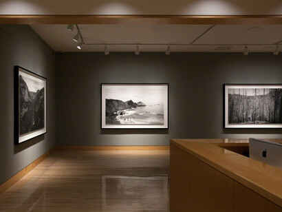 Richard Learoyd. Courtesy of Fraenkel Gallery 