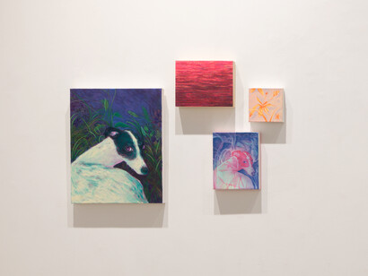 Various artists, Overgrowth, exhibition view. Courtesy of Erin Cluley Gallery
