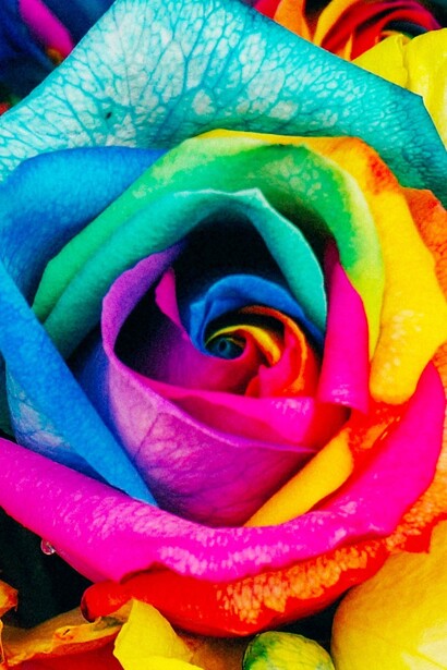 Le persone multipotenziali spesso trovano difficoltà nell'incasellarsi in un'unica carriera, ma il loro approccio interdisciplinare le rende versatili e capaci di adattarsi a contesti in continua evoluzione