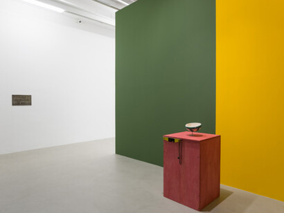 Beto Shwafaty. Courtesy of Galeria Luisa Strina