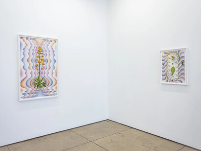 Francesca Gabbiani and Eddie Ruscha, The messengers, exhibition view. Courtesy of Wilding Cran Gallery