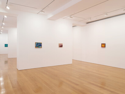 Howard Hodgkin. In The Pink, Exhibition view. Courtesu of Gagosian