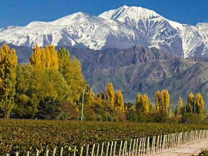 Luján de Cuyo, Mendoza, Argentina, lugar que despierta los sentidos y cautiva el corazón de sus visitantes