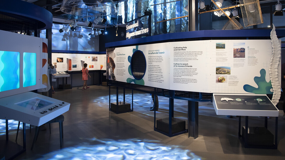 Aquaculture, cultiver les eaux, vue d’exposition. Avec l’aimable autorisation d’Ingenium. Musée de l’agriculture et de l’alimentation du Canada