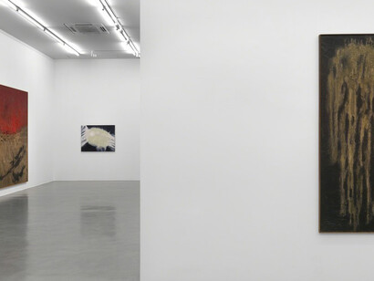 Ryuji Tanaka, Exhibition view. Courtesy of Simon Lee Gallery