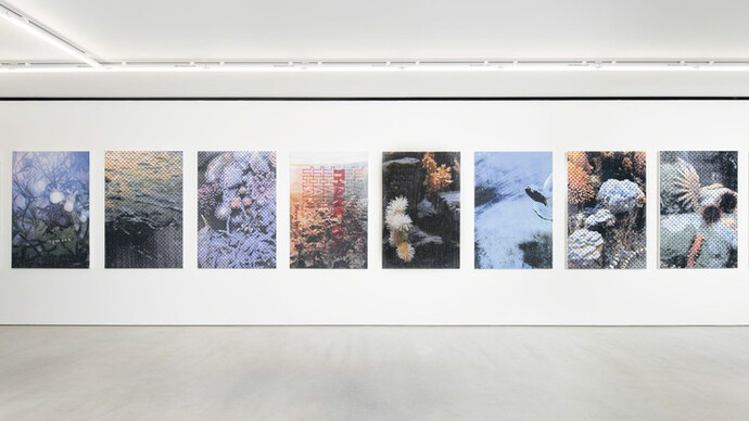 Hugh Scott-Douglas. Courtesy of Blum & Poe Gallery
