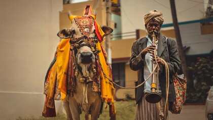 Um homem conduz uma vaca adornada com tecidos coloridos e ornamentos pelas ruas da cidade. Em muitas tradições indianas, a presença da vaca atravessa o cotidiano como símbolo de prosperidade, devoção e continuidade espiritual