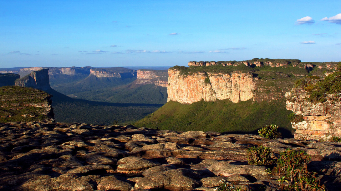 Chapada Diamantina National Park in the state of Bahia, Brazil is one of the country's richest bioregions