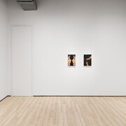 Ted Pim, Loinnir, exhibition view. Courtesy of Almine Rech Gallery