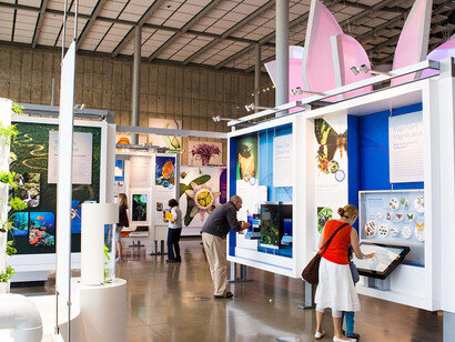 Color of Life. Courtesy of California Academy of Sciences