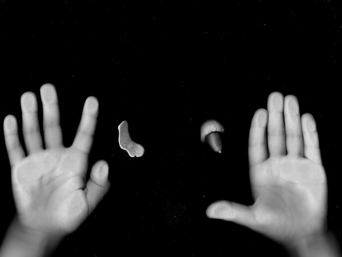 Émilie Perotto, "Un morceau de fer dont l’utilité n’était pas apparente", 2015