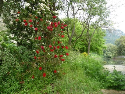 Giardino di Ninfa. Foto Simonetta Sandri 