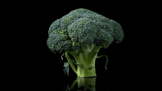 You should include broccoli in your diet