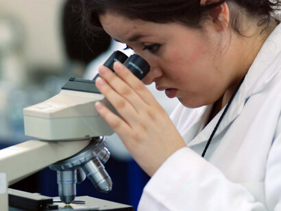 Mirando al microscopio
