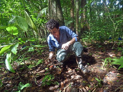 Buscando nuevas especies