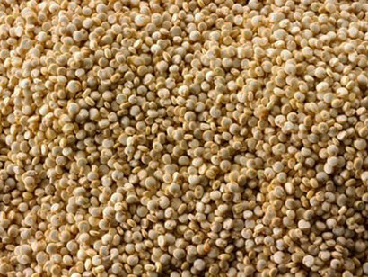 Il fonio assomiglia nell’aspetto al cous cous 