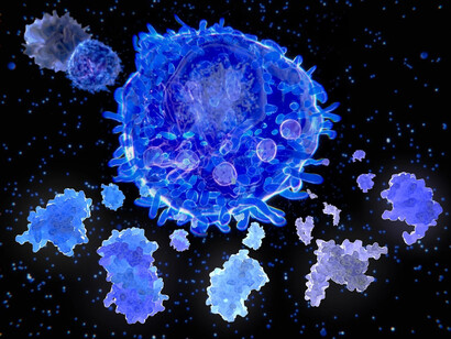 Se especula con que la causa más probable se relaciona con la respuesta inflamatoria exagerada creada por el sistema inmunitario del propio organismo