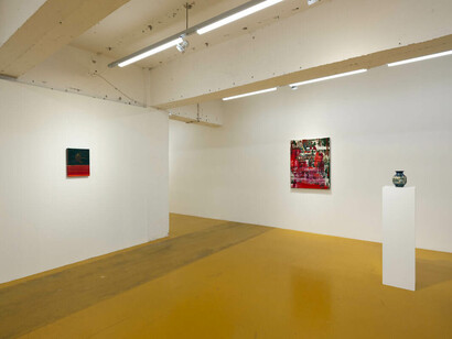 Elah Wong Tsoi Wai, Wild awhile, exhibition view. Courtesy of Gallery Exit
