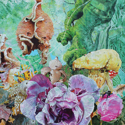 John Hurford, Earth Star