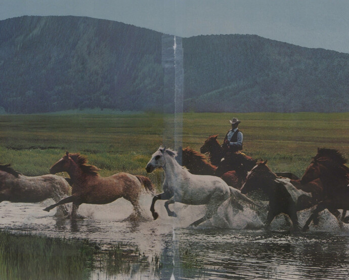 Richard Prince. Courtesy of Los Angeles County Museum of Art (LACMA)