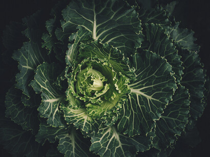 La verdura: una de las claves de un buen cocido