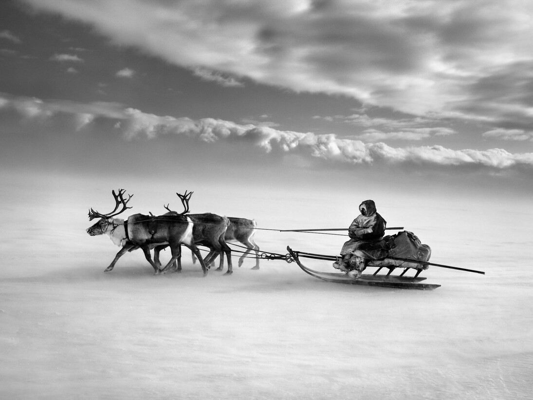 Sebastião Salgado, Nenets, Yamal Peninsula, Siberia, Russia, 2011, gelatin silver print, 20 x 24 inches/50.8 x 61 cm © Sebastião Salgado/Amazonas Images