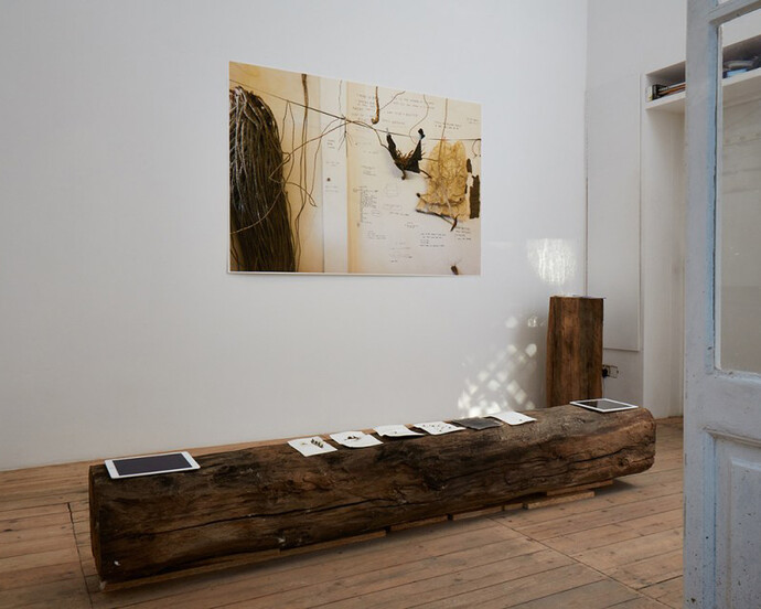Ratna Gupta, Exhibiiton view. Courtesy of Felix Frachon