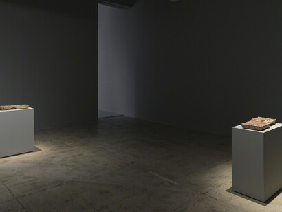 Anri Sala. Courtesy of Marian Goodman Gallery