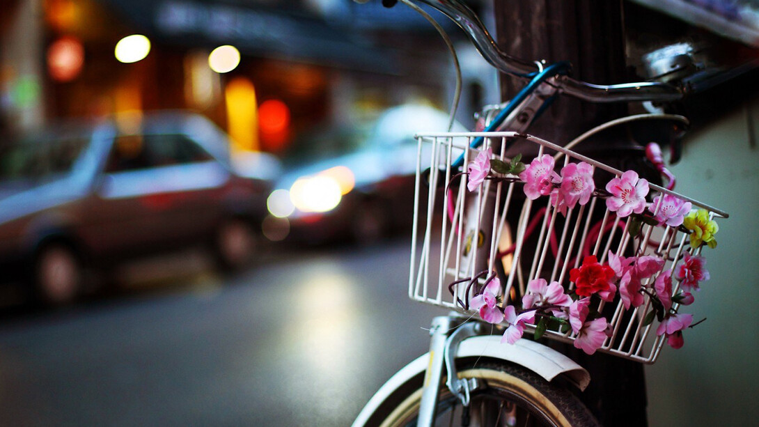 Ho preso la bicicletta...