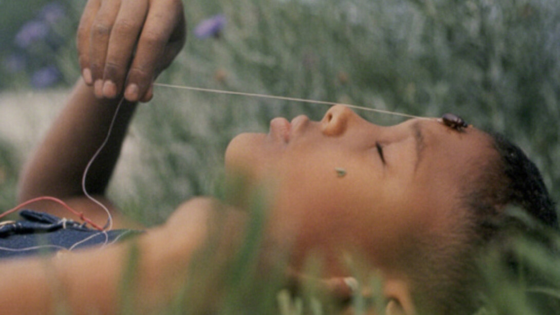 Summertime... Courtesy of Jenkins Johnson Projects