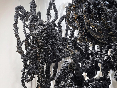 Judith Shaw, Lifelines, exhibition view. Courtesy of Bruno David Gallery