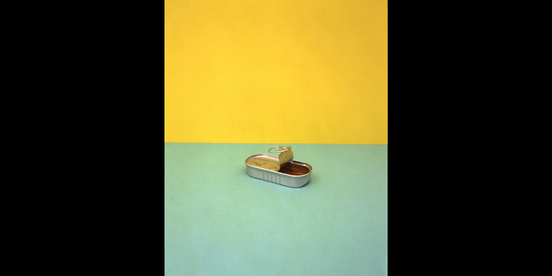 Richard Caldicott, Anchovies, 1996. © Richard Caldicott, courtesy of Atlas Gallery