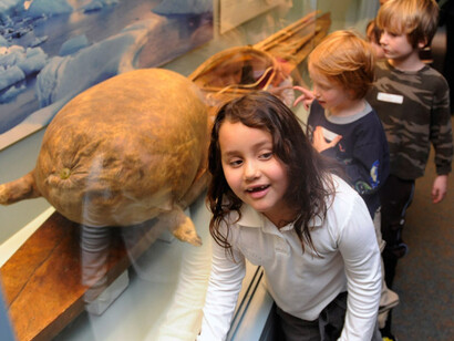 North American Indian Cultures. Courtesy of Denver Museum of Nature & Science