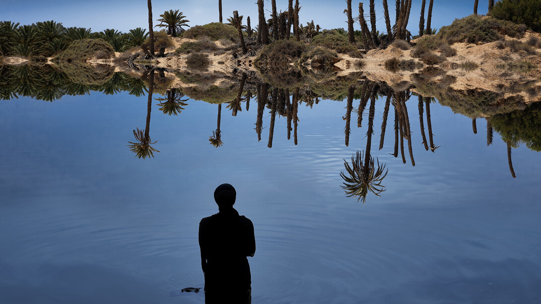 Sama Alshaibi, Fatnis Al Gazirah from Silsila series, 2014, Diasec print, 166 x 250 cm, Edition 1 of 1